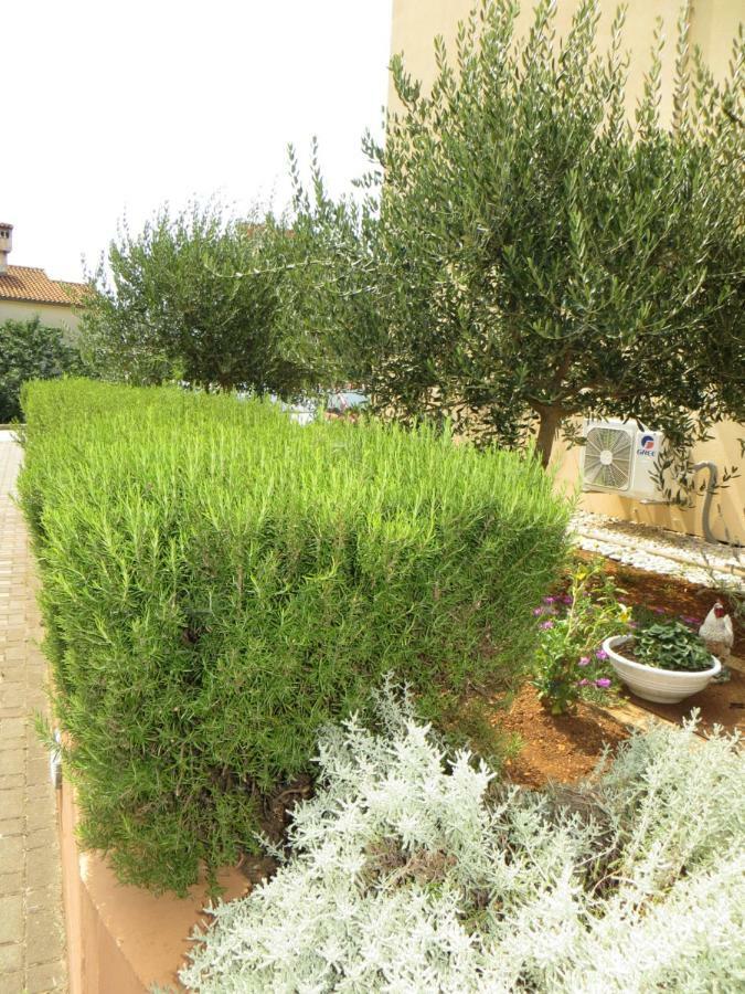 Apartman Mario Cres Esterno foto